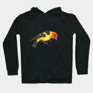 Western Tanager Hoodie